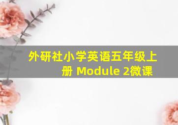 外研社小学英语五年级上册 Module 2微课